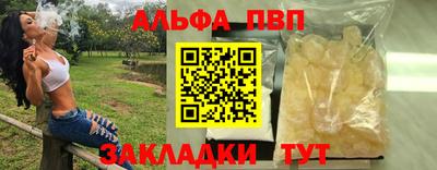 герыч Кингисепп