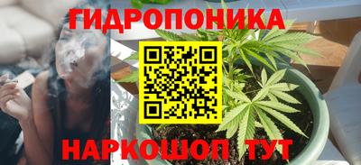 Альфа ПВП Кинель